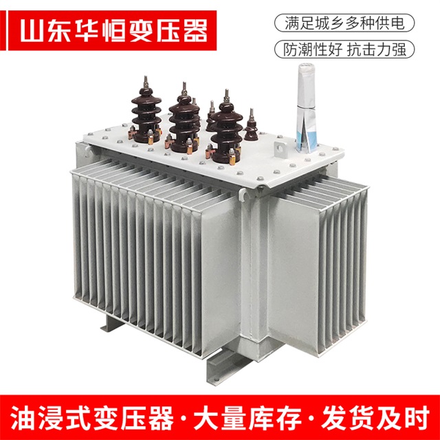 S13-10000/35蒸湘蒸湘蒸湘油浸式变压器厂家